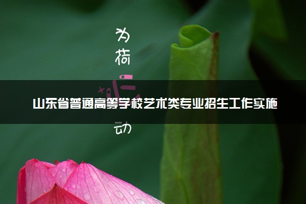 山东省普通高等学校艺术类专业招生工作实施方案