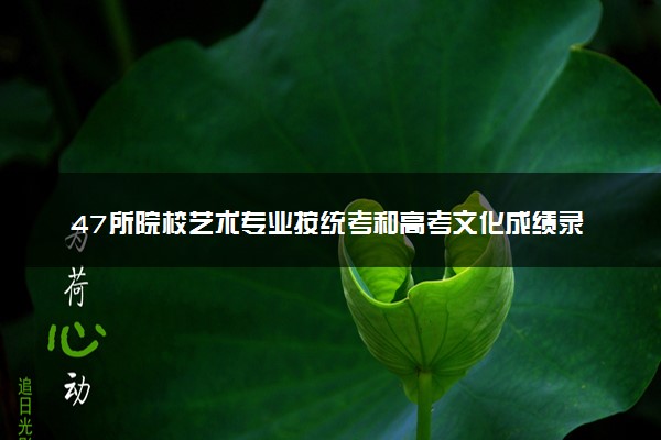 47所院校艺术专业按统考和高考文化成绩录取