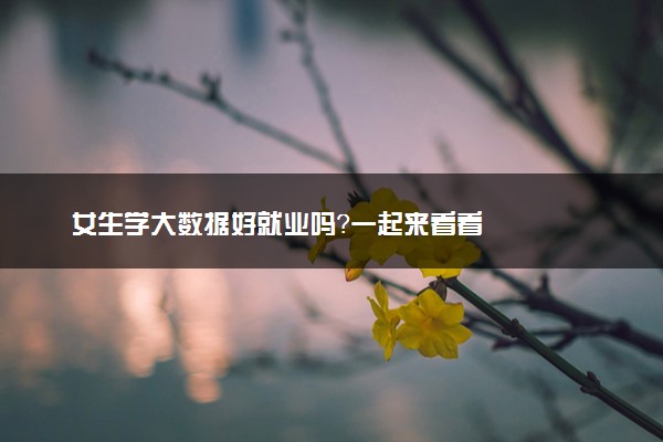 女生学大数据好就业吗？一起来看看