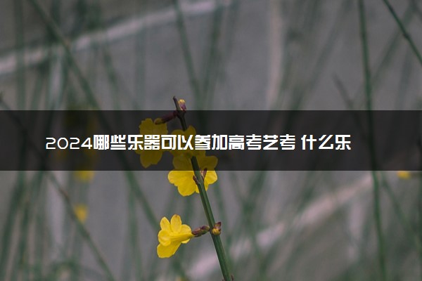 2024哪些乐器可以参加高考艺考 什么乐器好考
