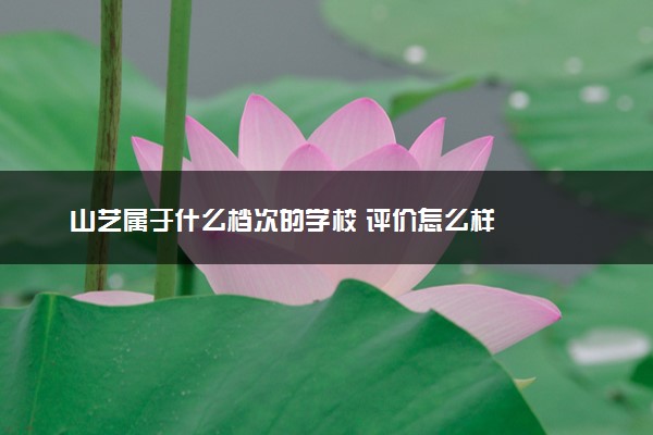 山艺属于什么档次的学校 评价怎么样