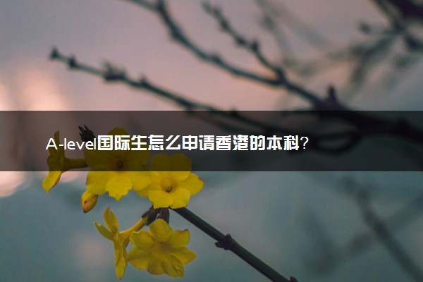 A-level国际生怎么申请香港的本科？