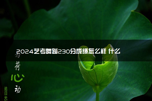 2024艺考舞蹈230分成绩怎么样 什么水平