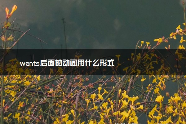 wants后面的动词用什么形式