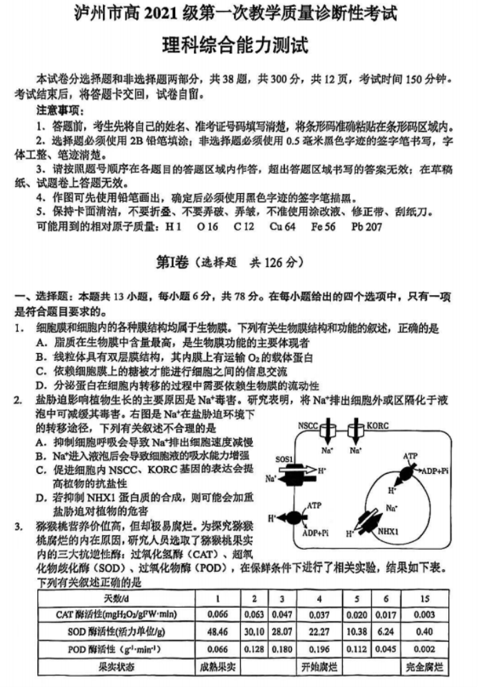 四川泸州市2024高三第一次诊断性考试理综试题及答案解析