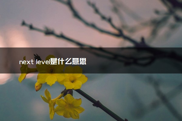 next level是什么意思