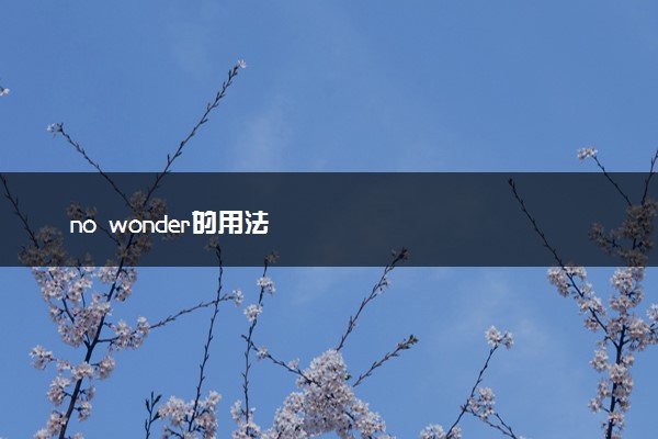 no wonder的用法