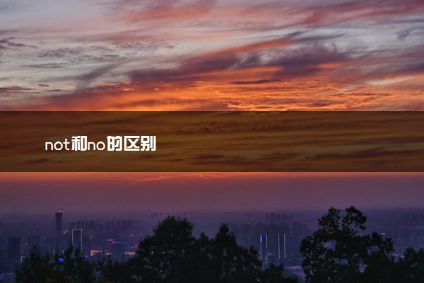 not和no的区别