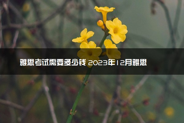 雅思考试需要多少钱 2023年12月雅思什么时候考试