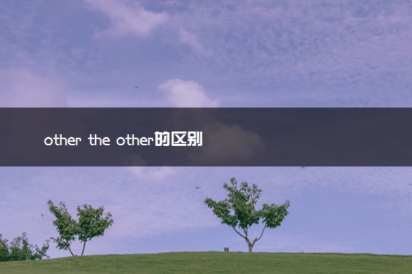 other the other的区别