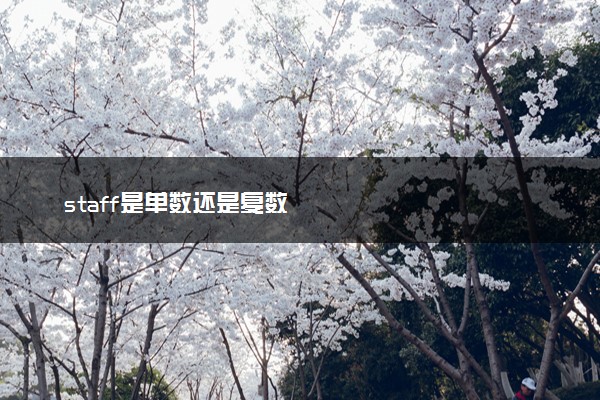 staff是单数还是复数