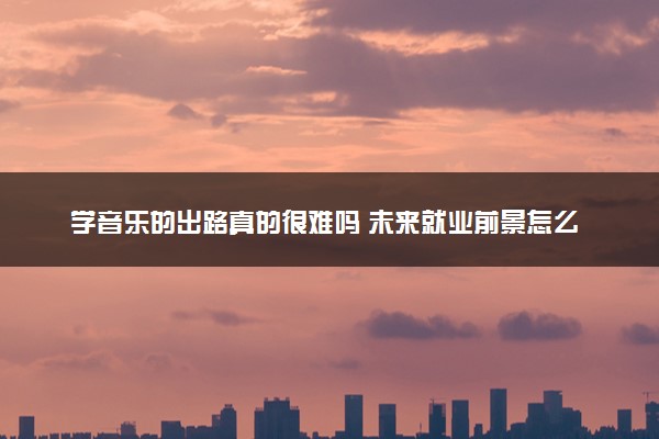 学音乐的出路真的很难吗 未来就业前景怎么样
