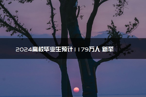 2024高校毕业生预计1179万人 新举措保障毕业生就业