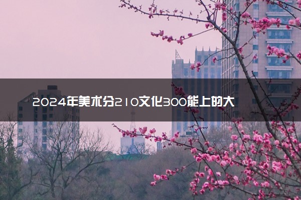 2024年美术分210文化300能上的大学 有什么推荐