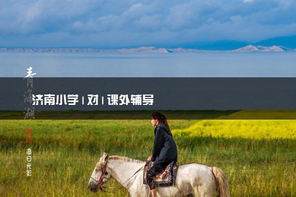 济南小学1对1课外辅导