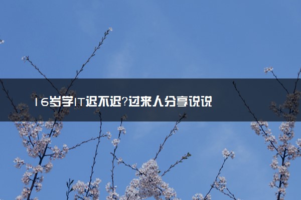 16岁学IT迟不迟？过来人分享说说