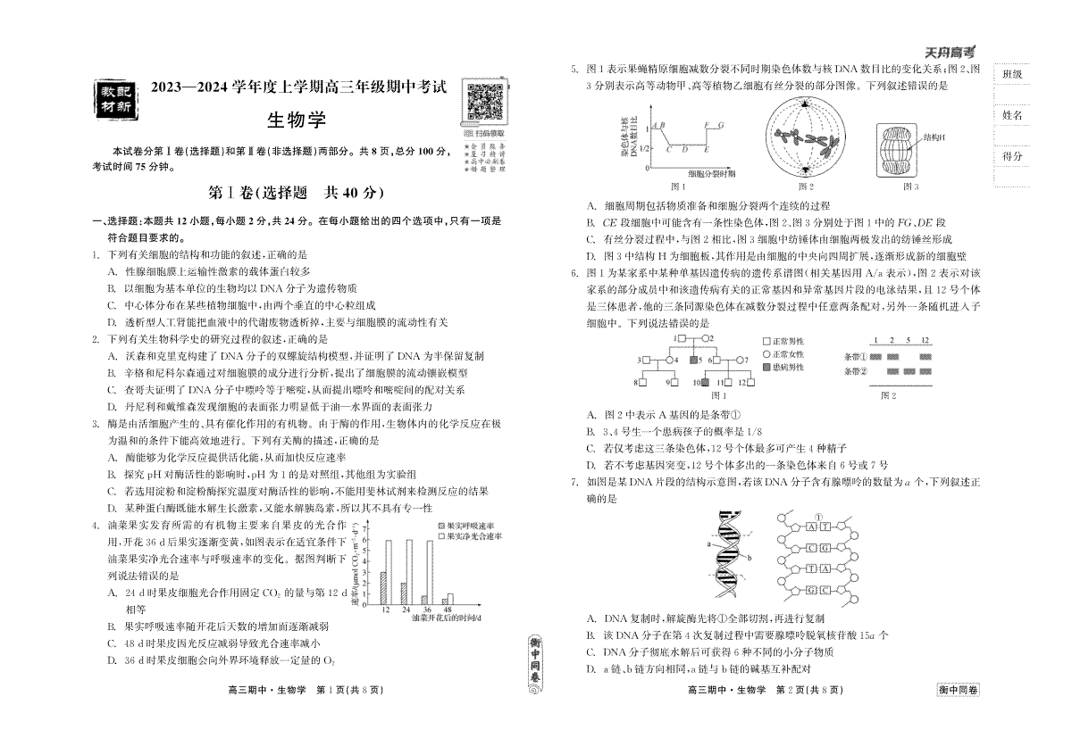 23-24生物上学期高三期中衡中试卷正文