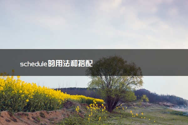 schedule的用法和搭配