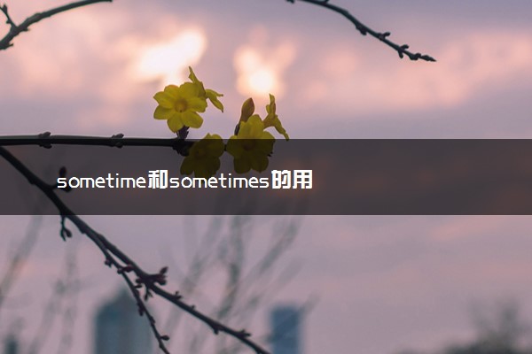 sometime和sometimes的用法