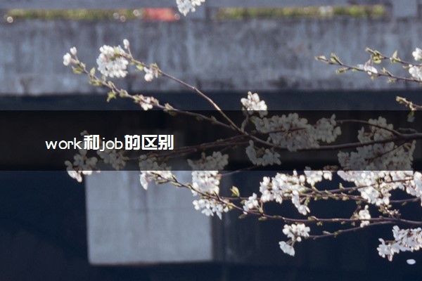 work和job的区别