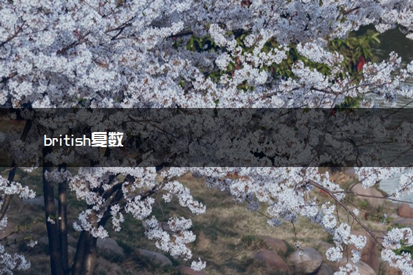 british复数