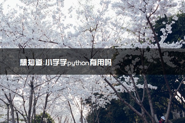 想知道：小学学python有用吗