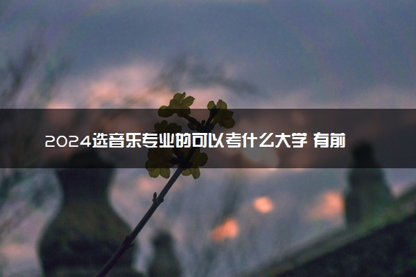 2024选音乐专业的可以考什么大学 有前景的院校推荐
