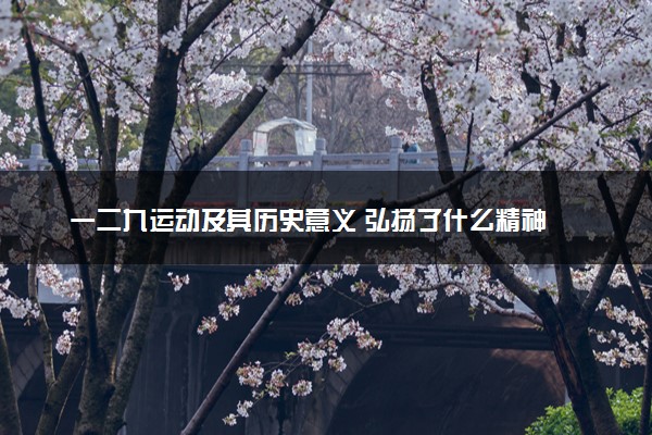 一二九运动及其历史意义 弘扬了什么精神