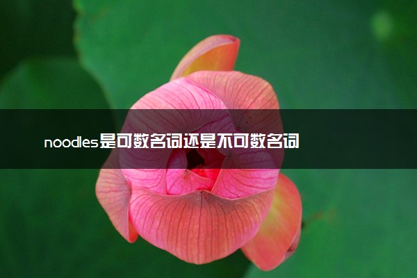 noodles是可数名词还是不可数名词