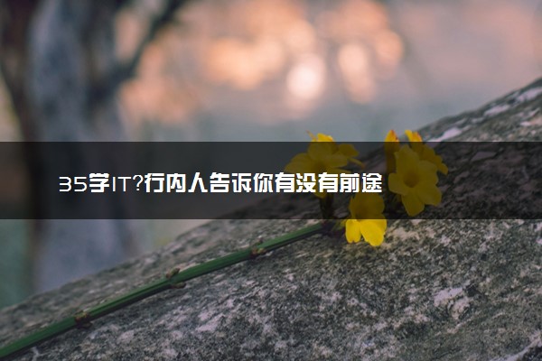 35学IT？行内人告诉你有没有前途