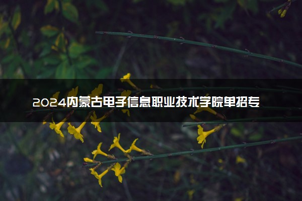 2024内蒙古电子信息职业技术学院单招专业 最新名单整理