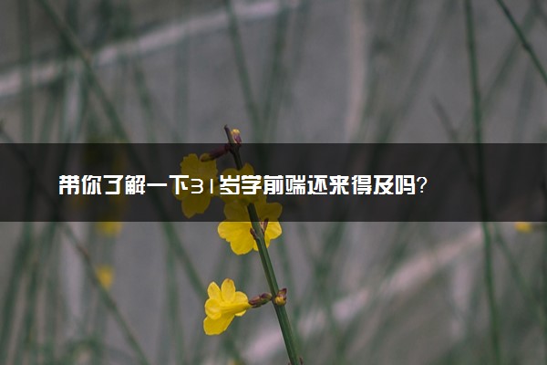 带你了解一下31岁学前端还来得及吗？