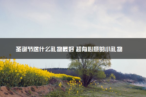圣诞节送什么礼物最好 超有心意的小礼物