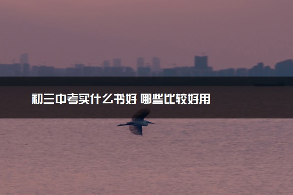 初三中考买什么书好 哪些比较好用