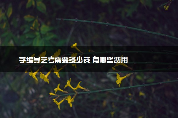 学编导艺考需要多少钱 有哪些费用