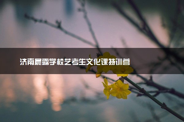 济南晨露学校艺考生文化课特训营