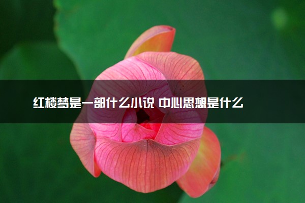 红楼梦是一部什么小说 中心思想是什么