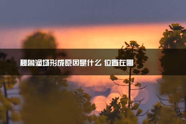 秘鲁渔场形成原因是什么 位置在哪