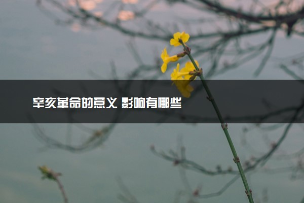 辛亥革命的意义 影响有哪些
