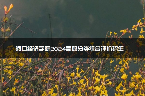 海口经济学院2024高职分类综合评价招生专业及计划