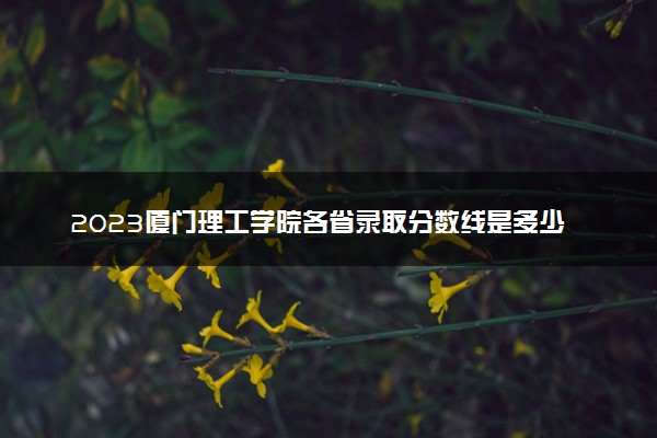 2023厦门理工学院各省录取分数线是多少 投档最低分及位次