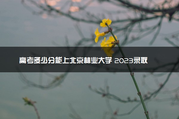 高考多少分能上北京林业大学 2023录取分数线是多少