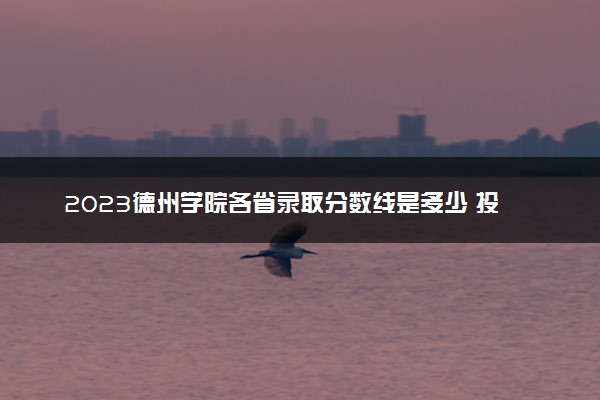2023德州学院各省录取分数线是多少 投档最低分及位次