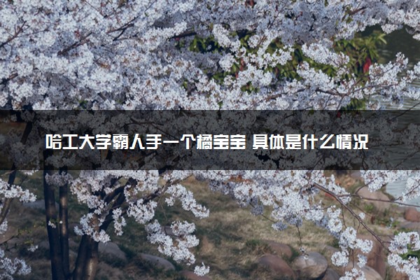 哈工大学霸人手一个橘宝宝 具体是什么情况
