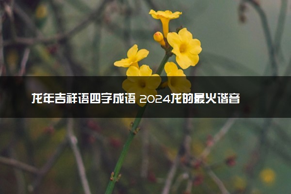 龙年吉祥语四字成语 2024龙的最火谐音吉利成语
