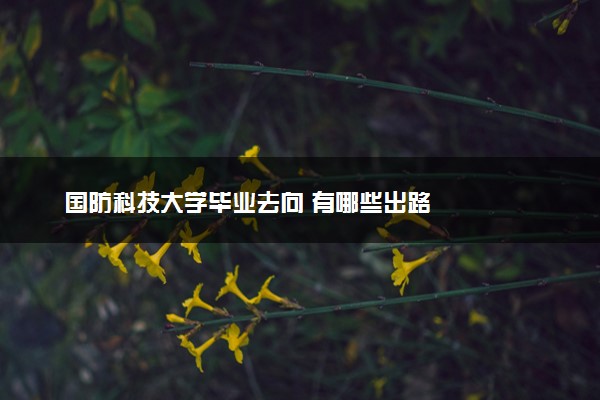 国防科技大学毕业去向 有哪些出路