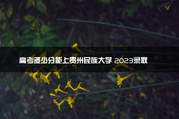 高考多少分能上贵州民族大学 2023录取分数线是多少