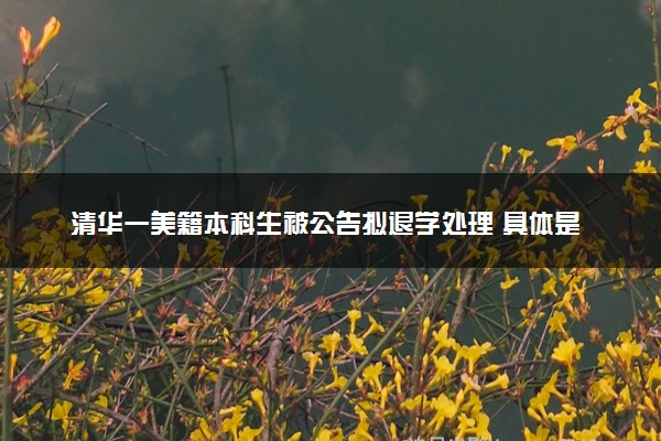 清华一美籍本科生被公告拟退学处理 具体是怎么回事