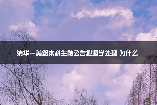 清华一美籍本科生被公告拟退学处理 为什么被退学