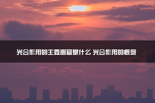光合作用的主要器官是什么 光合作用的概念是什么